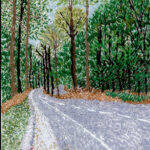 Greenway where we walk