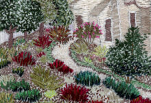 The back garden